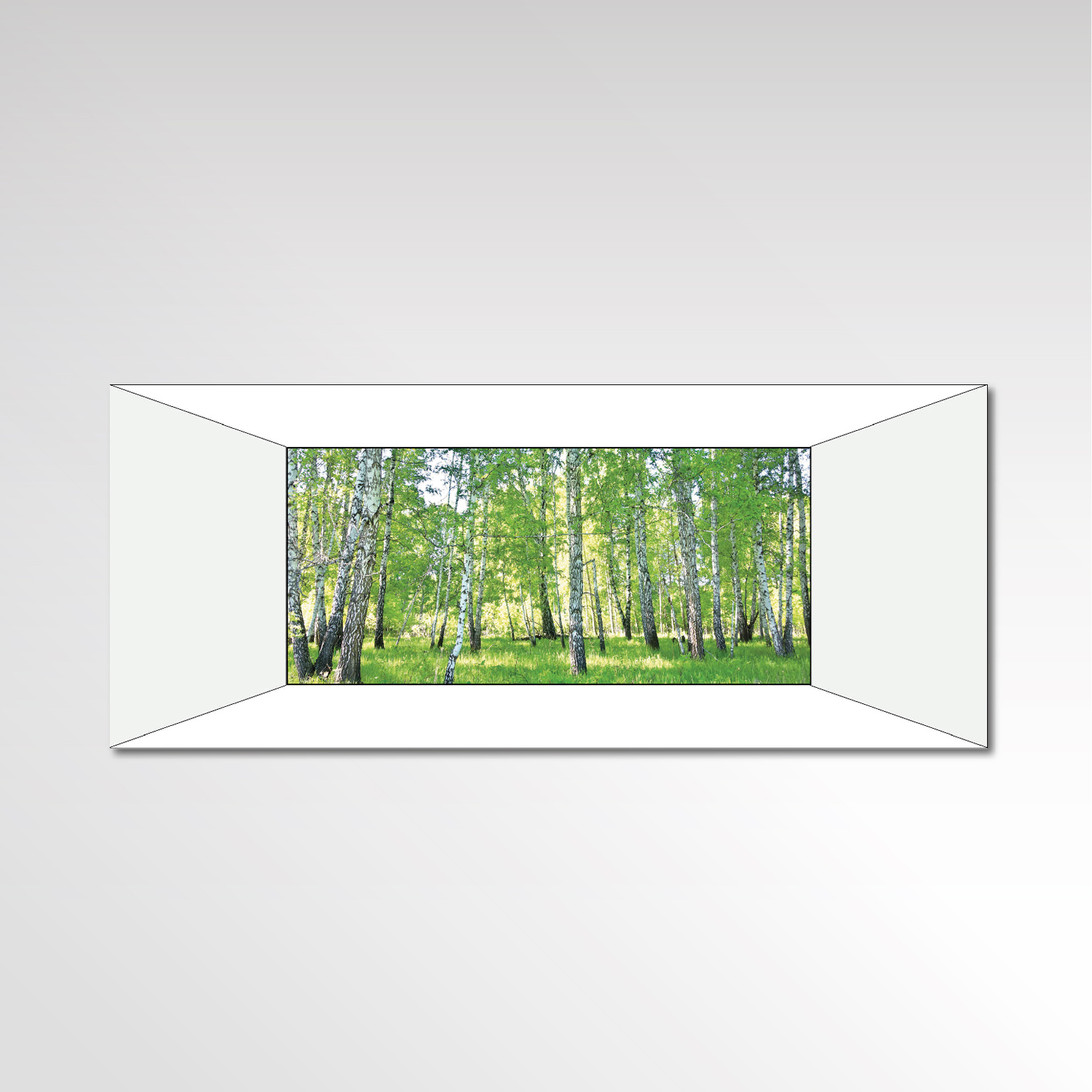 Fitnessraum individuelle Fototapete Birkenwald Entwurf Layout