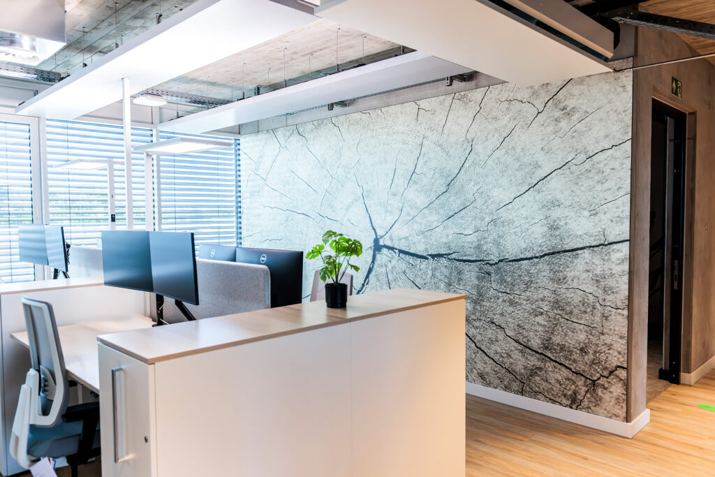 Referenz Malerarbeiten Büro Fototapete Baumstammquerschnitt