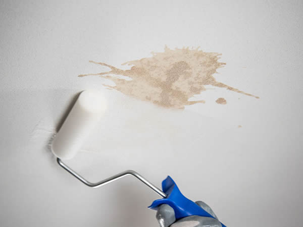 Nahaufnahme einer weißen Akustikoberfläche mit einem bräunlichen Fleck, der gereinigt werden soll. Unten links ist eine kleine Farbrolle zu sehen, die an die Fläche angesetzt wird, daneben hält eine Hand mit blauem Handschuh den Griff. Das Motiv zeigt Baswa Clean als Reinigungslösung für Akustikoberflächen.