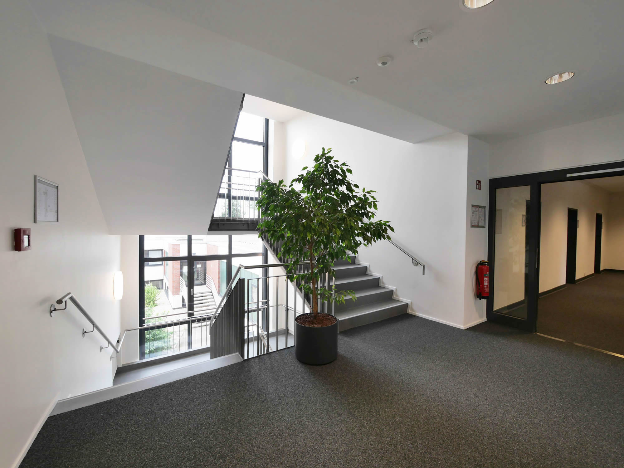 referenz_afa_coesfeld_treppenhaus_podest_grosspflanze_fensterfront_flurbereich