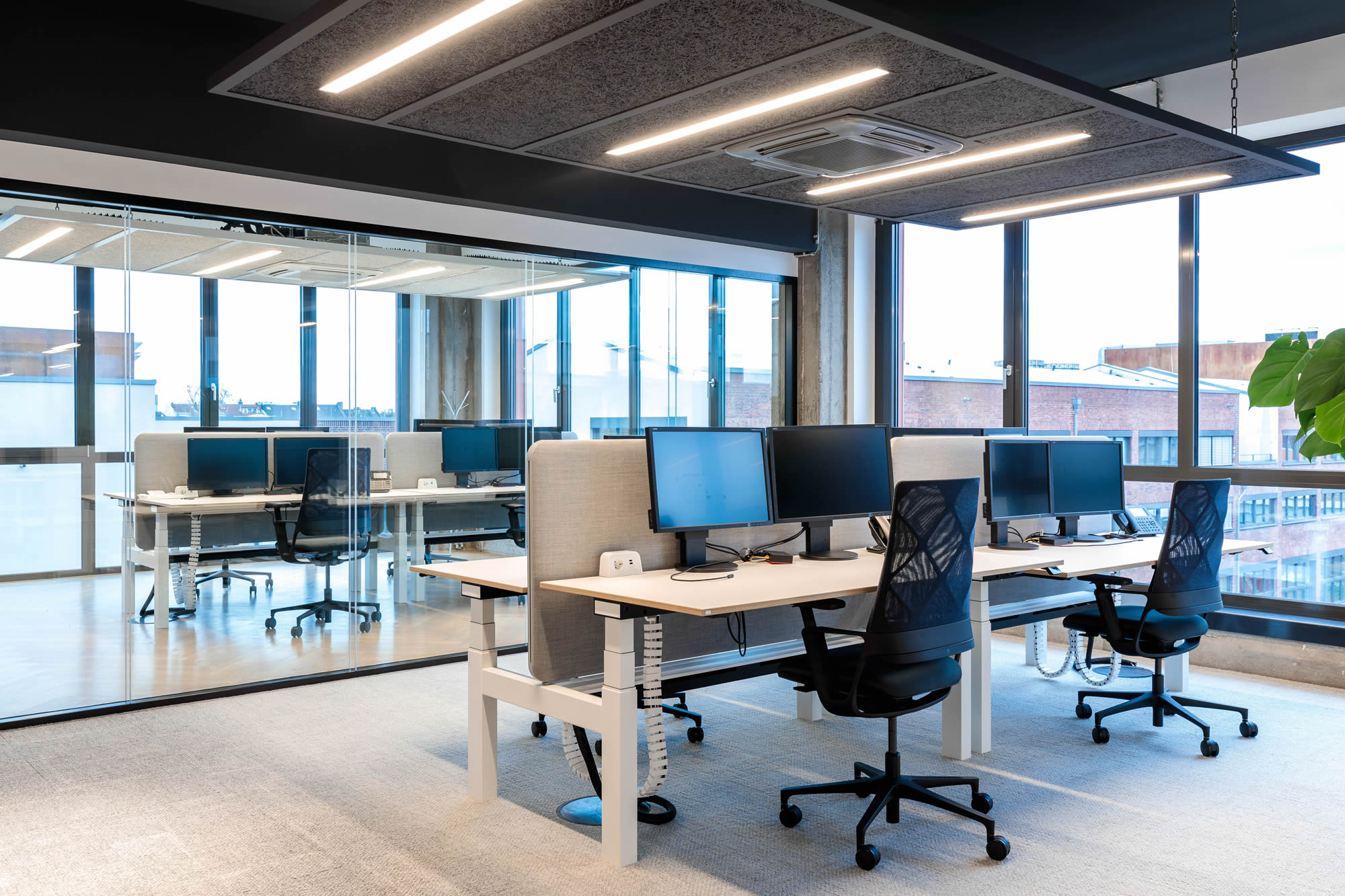 Modernes Büro mit sauber verlegtem hellem Textilboden, mehreren Arbeitsplätzen und großen Fensterflächen. Weiße Schreibtische, schwarze Bürostühle, Glasabtrennungen und abgehängte Akustikdeckensegel prägen die klare Gestaltung. Die Aufnahme betont die hochwertige Ausführung der Bodenlegearbeiten im offenen Arbeitsbereich.