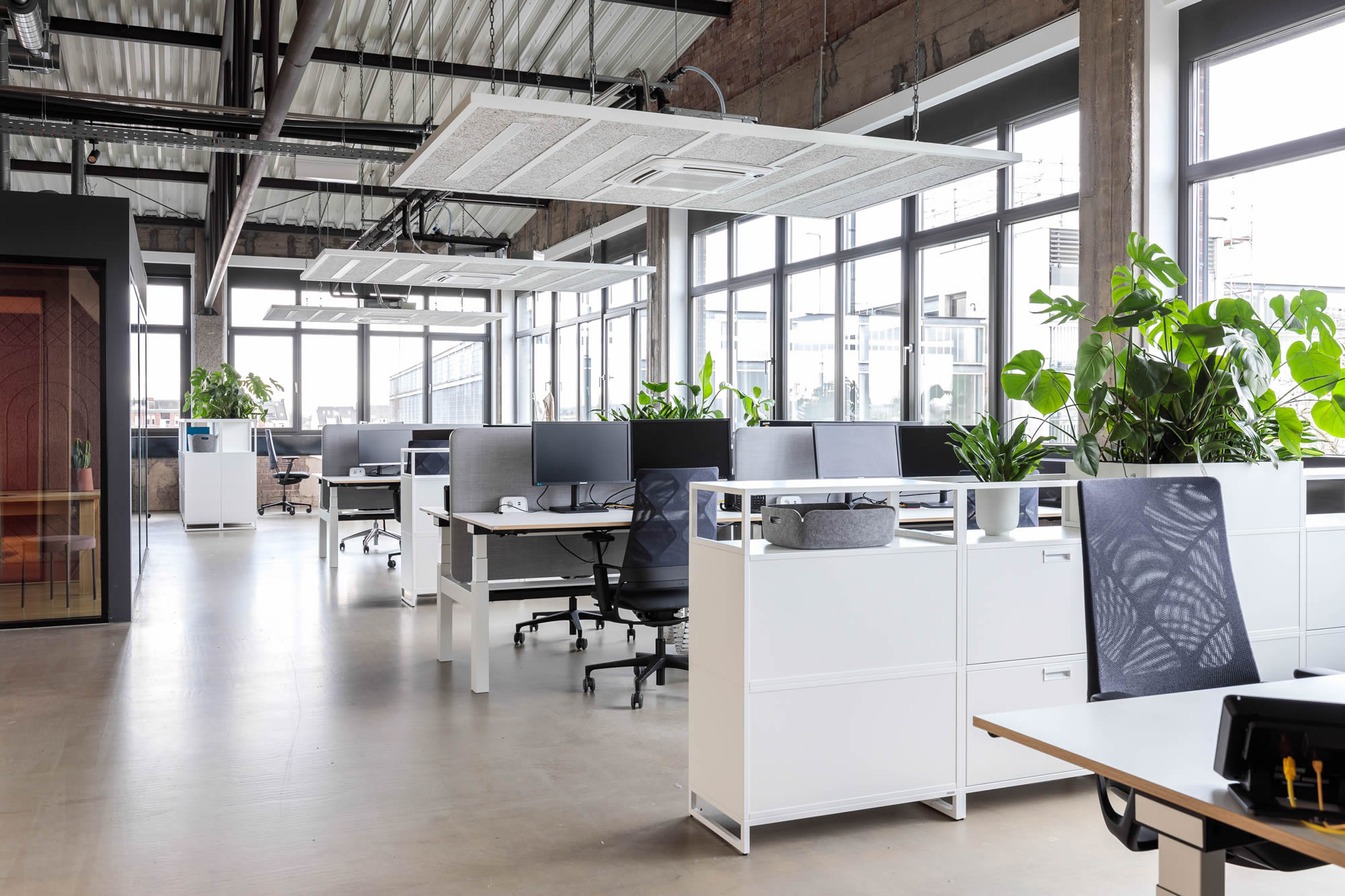 Offen gestalteter Bürobereich mit hochwertig ausgeführter Bodenbeschichtung in grauem Farbton. Zu sehen sind moderne Arbeitsplätze, große Fensterfronten, helle Möbel und zahlreiche Pflanzen in einem lichtdurchfluteten Loft. Die Aufnahme betont die saubere, ruhige und gleichmäßige Ausführung der Bodenarbeiten im gesamten Arbeitsbereich.