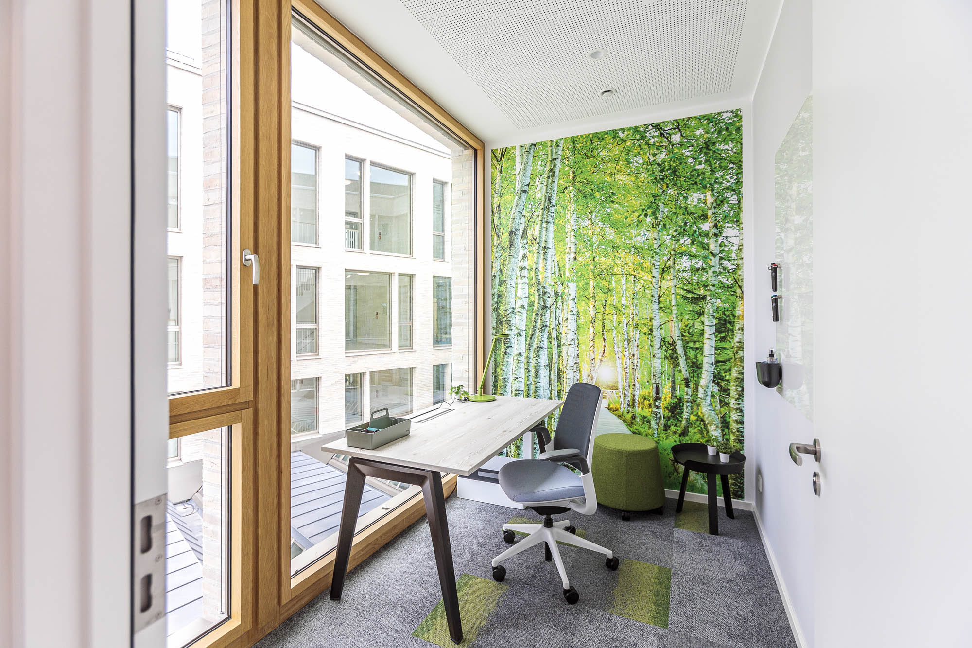 referenz_stadtsparkasse_bocholt_etage_3_arbeitsnische_fototapete_birkenwald_einzelarbeitsplatz